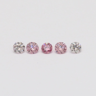 0.20 Total carat parcel of round cut Argyle pink diamonds