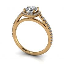 Panettiere cathedral halo diamond engagement ring