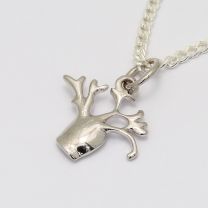 Baby Boab necklace