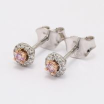 Rouge Argyle Pink and White Diamond Halo Stud Earrings