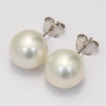 Abilene 8-9mm white South Sea pearl stud earrings